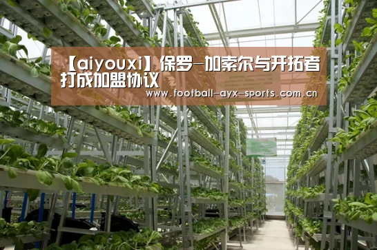 爱游戏中国官网